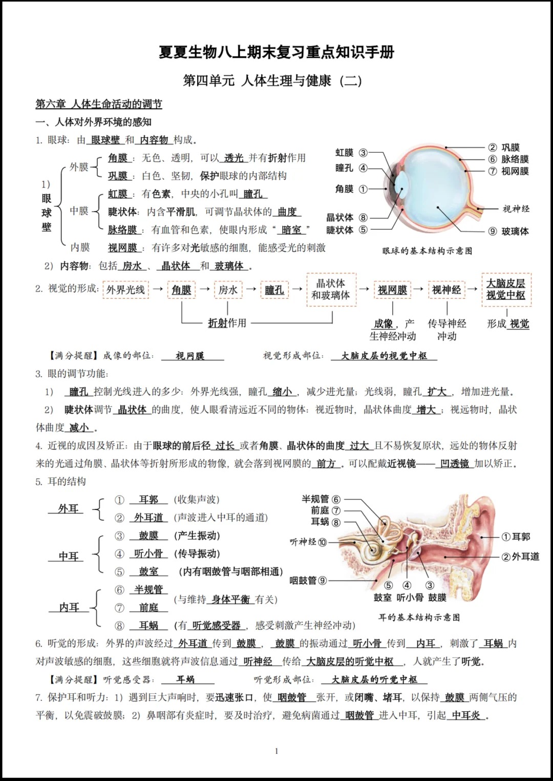 夏夏生物新八上生物知识点总结，图文超清版🔥  第5张